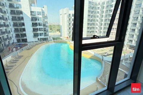 2 bedrooms Apartment in Dubai Studio City, UAE No. 143354 13