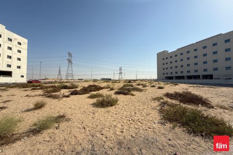 Land de 1858m² à Dubai, UAE No. 144376 10