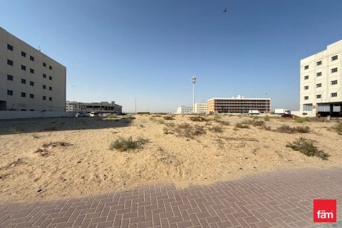 Land de 1858m² à Dubai, UAE No. 144376 9