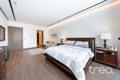 7 غرفة نوم  فيلا في Jumeirah Park, الإمارات العربية المتحدة رقم 173422 23