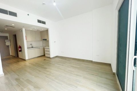 43m² Apartment on the Yas Island, UAE No. 105833 5