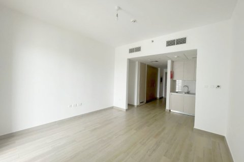 43m² Apartment on the Yas Island, UAE No. 105833 3