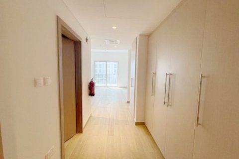 43m² Apartment on the Yas Island, UAE No. 105833 7