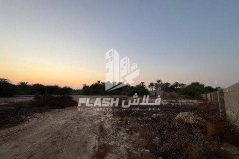 Земельный участок 7826.6м² в Shamal Julphar, ОАЭ №88226 5