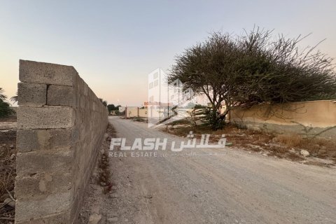 Земельный участок 7826.6м² в Shamal Julphar, ОАЭ №88226 8