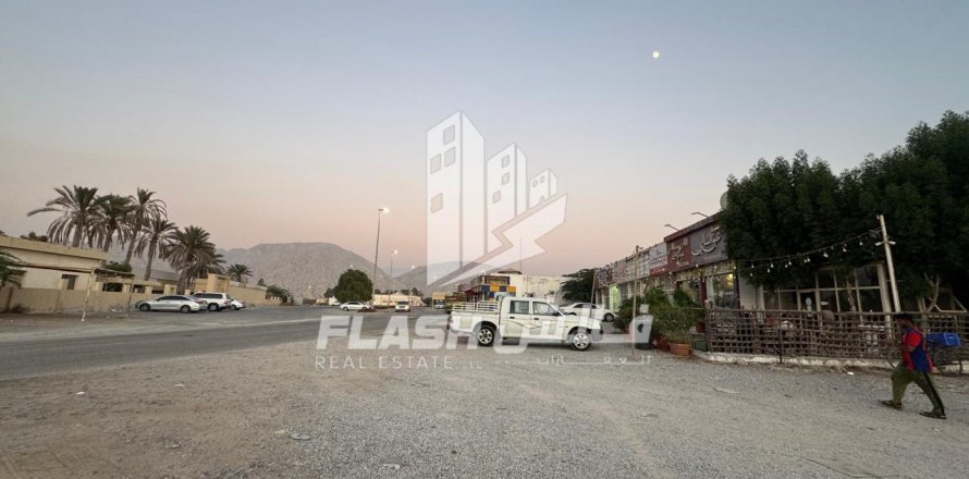 Земельный участок 7826.6м² в Shamal Julphar, ОАЭ №88226