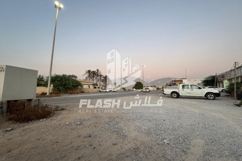 Земельный участок 7826.6м² в Shamal Julphar, ОАЭ №88226 2