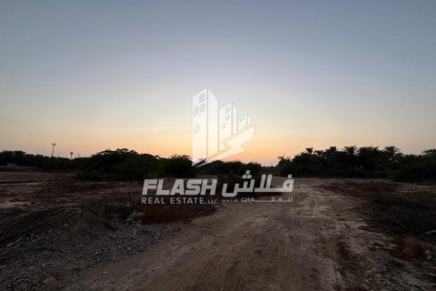 Земельный участок 7826.6м² в Shamal Julphar, ОАЭ №88226 6