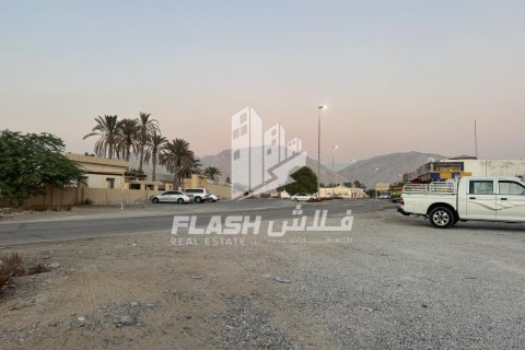 Земельный участок 7826.6м² в Shamal Julphar, ОАЭ №88226 4