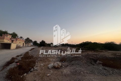 Земельный участок 7826.6м² в Shamal Julphar, ОАЭ №88226 7