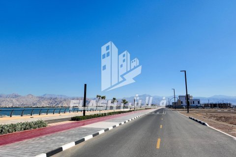 929m² Land in Al Mairid, UAE No. 88230 5