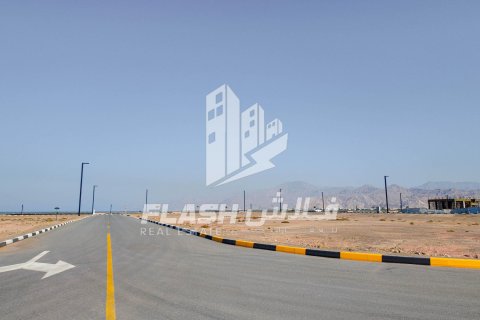 929m² Land in Al Mairid, UAE No. 88230 13