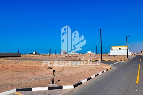 929m² Land in Al Mairid, UAE No. 88230 16