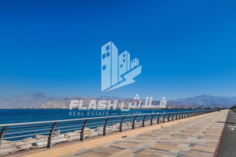 929m² Land in Al Mairid, UAE No. 88230 7