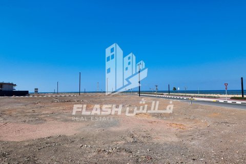 929m² Land in Al Mairid, UAE No. 88230 11