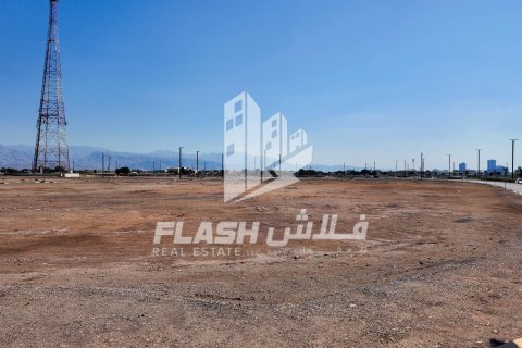 929m² Land in Al Mairid, UAE No. 88230 3