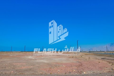 929m² Land in Al Mairid, UAE No. 88230 12