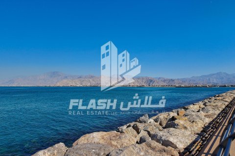 929m² Land in Al Mairid, UAE No. 88230 8