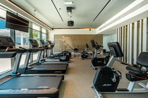 Apartment de 1 dormitorio en Dubai Harbour, UAE No. 147917 29