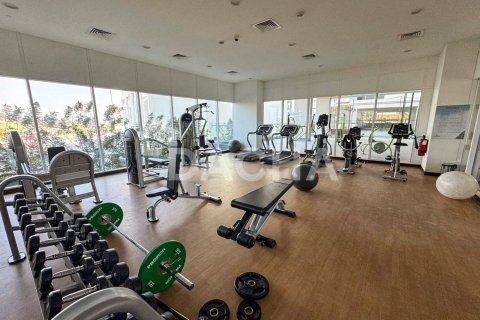 Appartement de 2 chambres à Sobha Hartland, UAE No. 155605 14