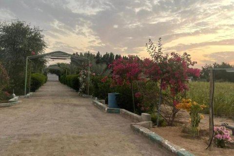23226مربع، قطعة أرض في أبو ظبي, الإمارات العربية المتحدة رقم 10155 24