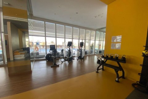 Apartamento tipo estudio Estudio en Jumeirah Village Triangle, UAE No. 202503 17