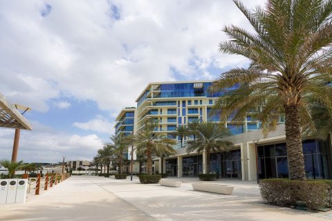 1 غرف نوم شقة على Saadiyat Cultural District, الإمارات العربية المتحدة رقم 79563 12