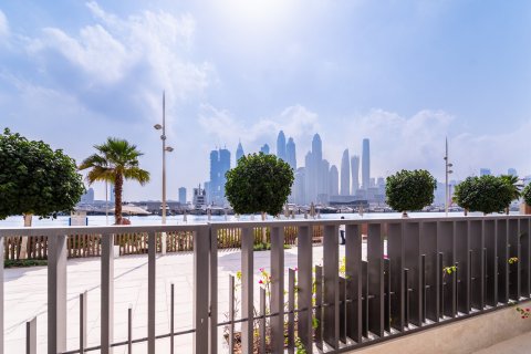 3 bedrooms Townhouse in Dubai Marina, UAE No. 146962 13