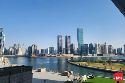 Apartment de 1 dormitorio  No. 117929 14