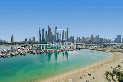 Квартира с 1 спальней в EMAAR Beachfront, ОАЭ №193405 7