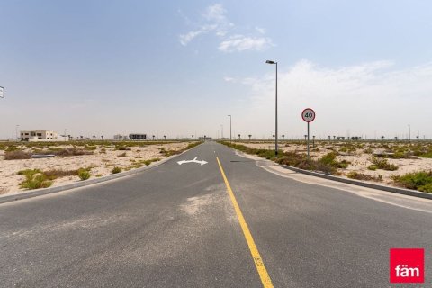 Land de 915m² à Jebel Ali, UAE No. 99988 2