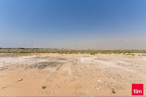Land de 915m² à Jebel Ali, UAE No. 99988 4