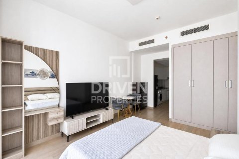 Studio Apartment in District 10, UAE No. 201944