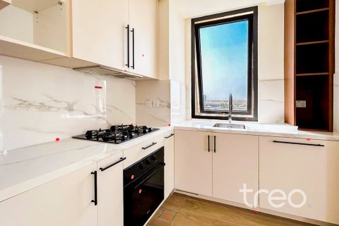 2 bedrooms Apartment in Town Square, UAE No. 199070 11