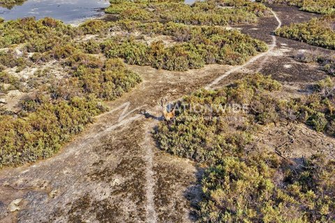 2 غرف نوم تاون هاوس في أبو ظبي, الإمارات العربية المتحدة رقم 134408 13