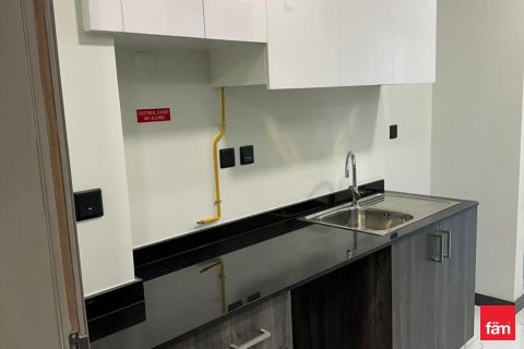43.4m² Apartment in Dubai, UAE No. 169251 13