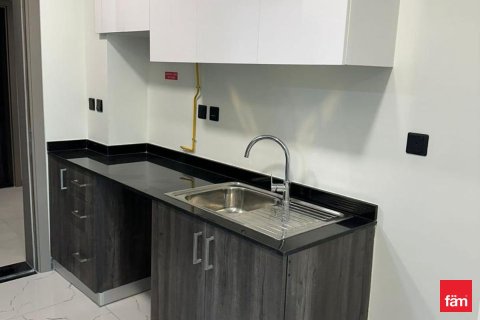 43.4m² Apartment in Dubai, UAE No. 169251 12