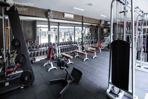 2 bedrooms Apartment in Downtown Dubai (Downtown Burj Dubai), UAE No. 147075 11