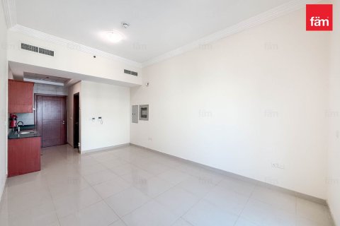 Studio Apartment in Dubai, UAE No. 169326