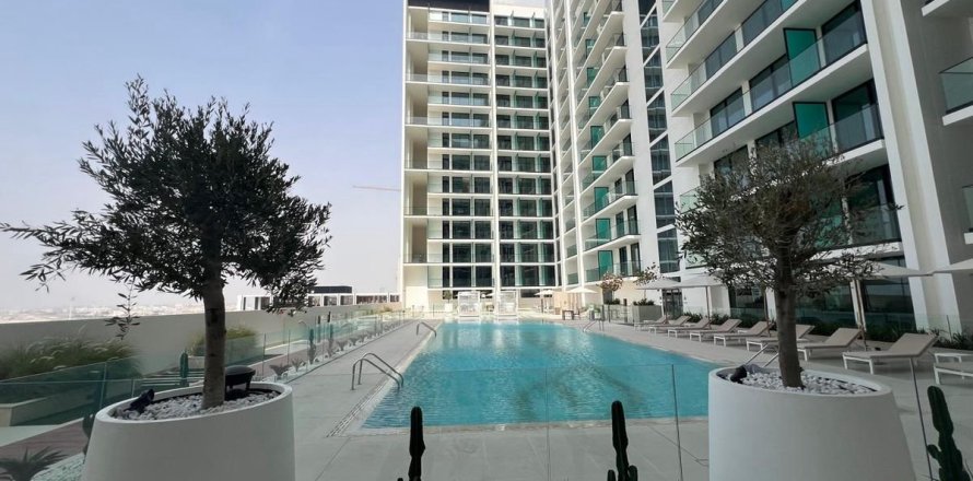 Appartement de Studio à Dubai, UAE No. 100016