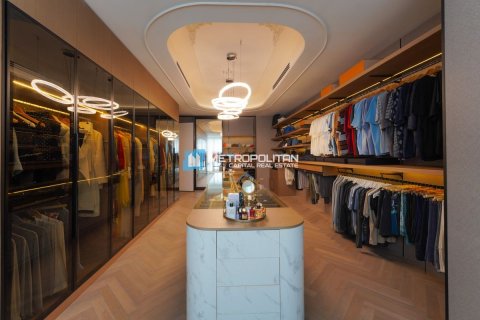 7 bedrooms Villa on the Saadiyat Island, UAE No. 133888 9