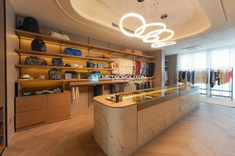 7 bedrooms Villa on the Saadiyat Island, UAE No. 133888 7