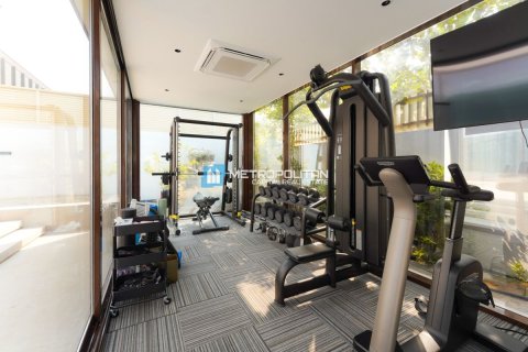 7 bedrooms Villa on the Saadiyat Island, UAE No. 133888 11