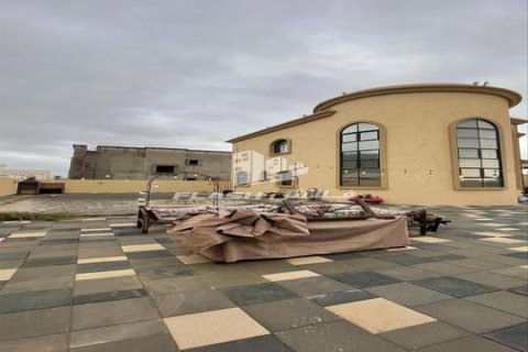 Вилла с 3 спальнями  №124529 12